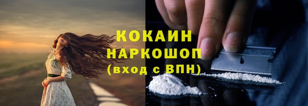 шишки Аркадак