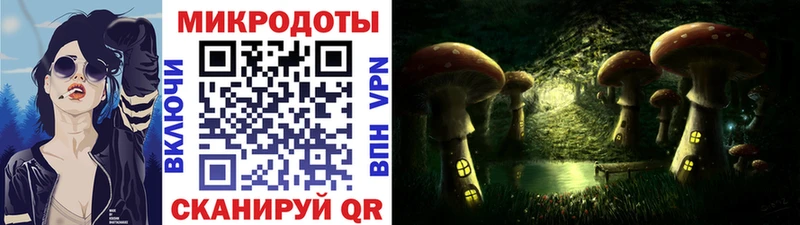 Псилоцибиновые грибы Cubensis  дарк нет телеграм  Куйбышев 